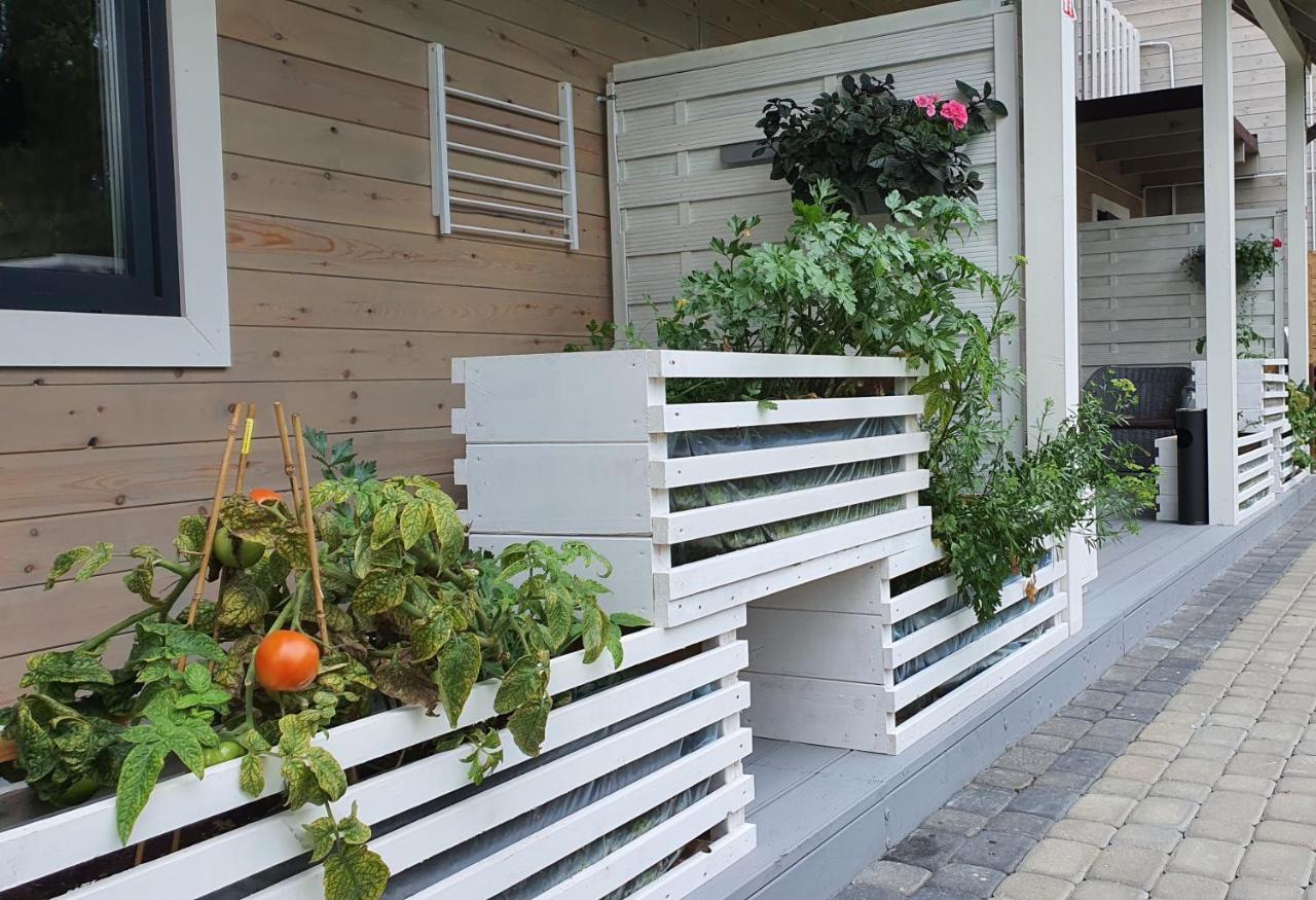 Apartmán Ekosfera Pilawa Borne Sulinowo Exteriér fotografie