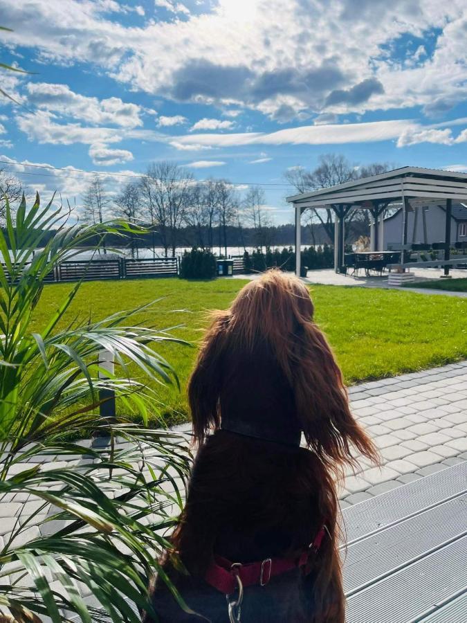 Apartmán Ekosfera Pilawa Borne Sulinowo Exteriér fotografie