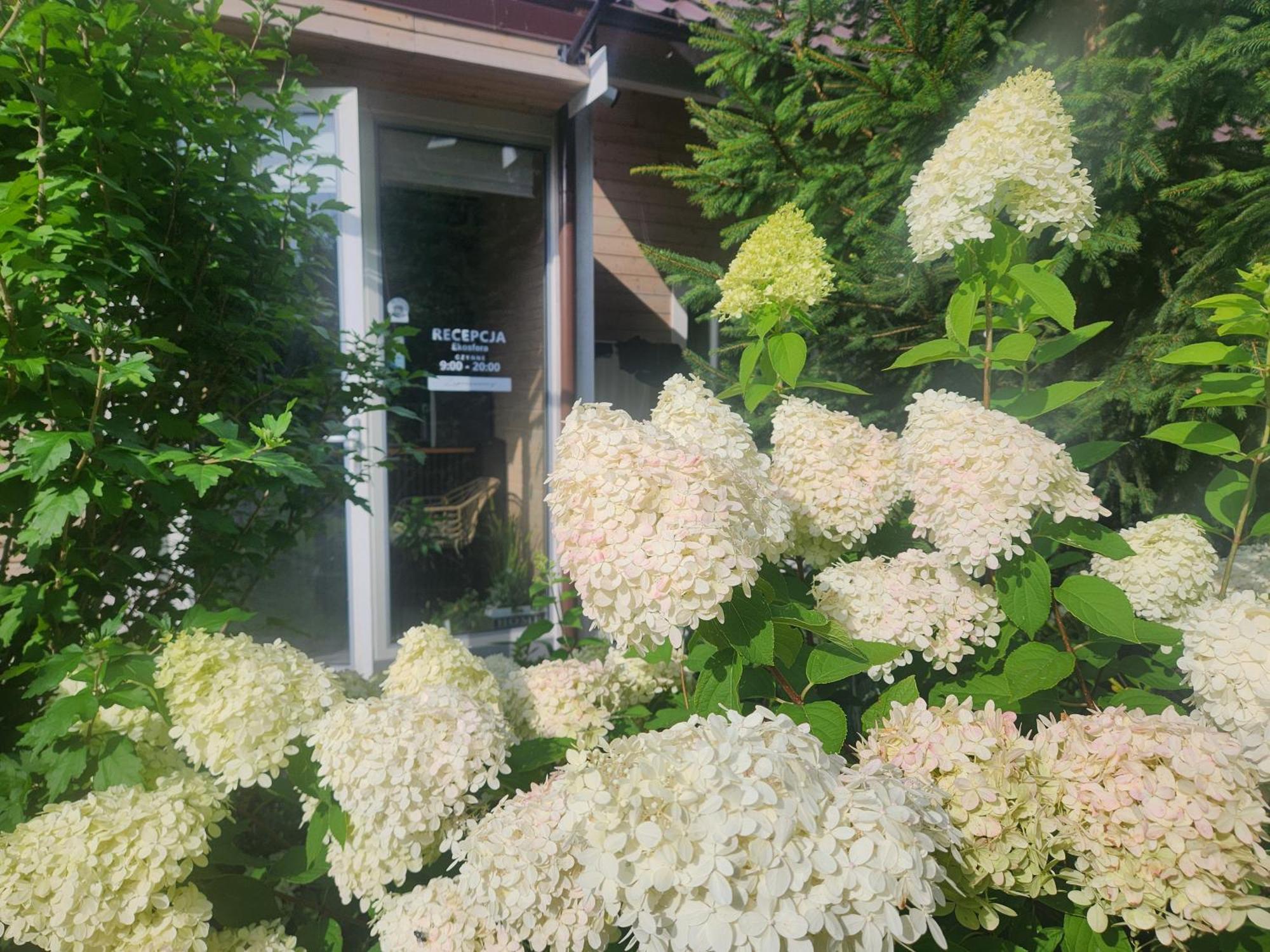 Apartmán Ekosfera Pilawa Borne Sulinowo Exteriér fotografie